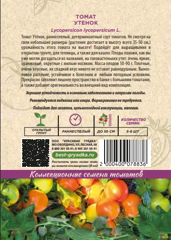 Утенок